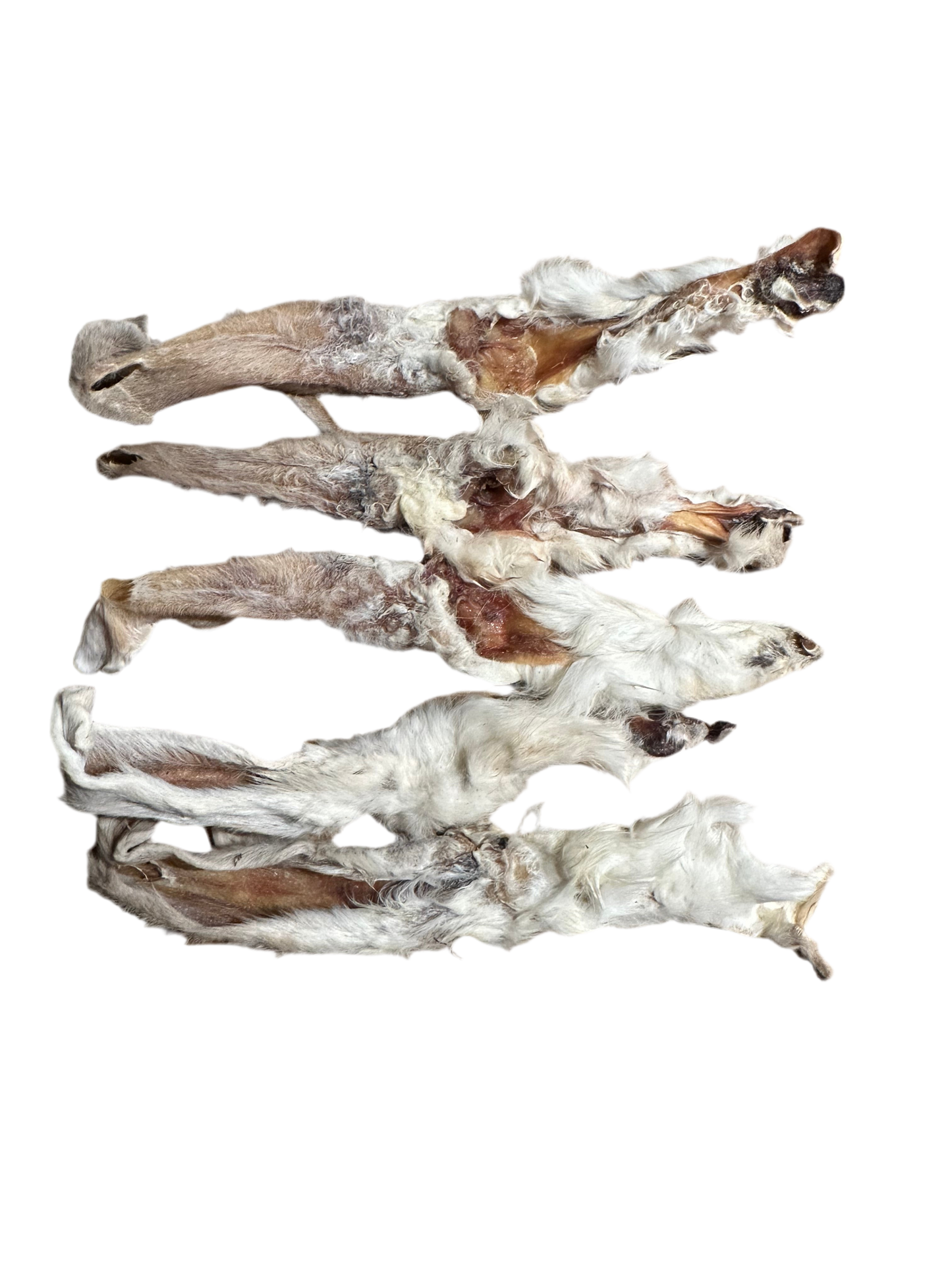 Kaninchenohren für Hunde – natürlich knuspriger Kauspaß