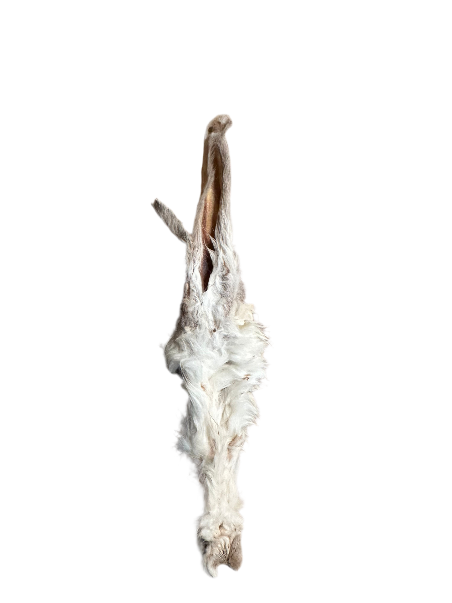 Kaninchenohren für Hunde – natürlich knuspriger Kauspaß