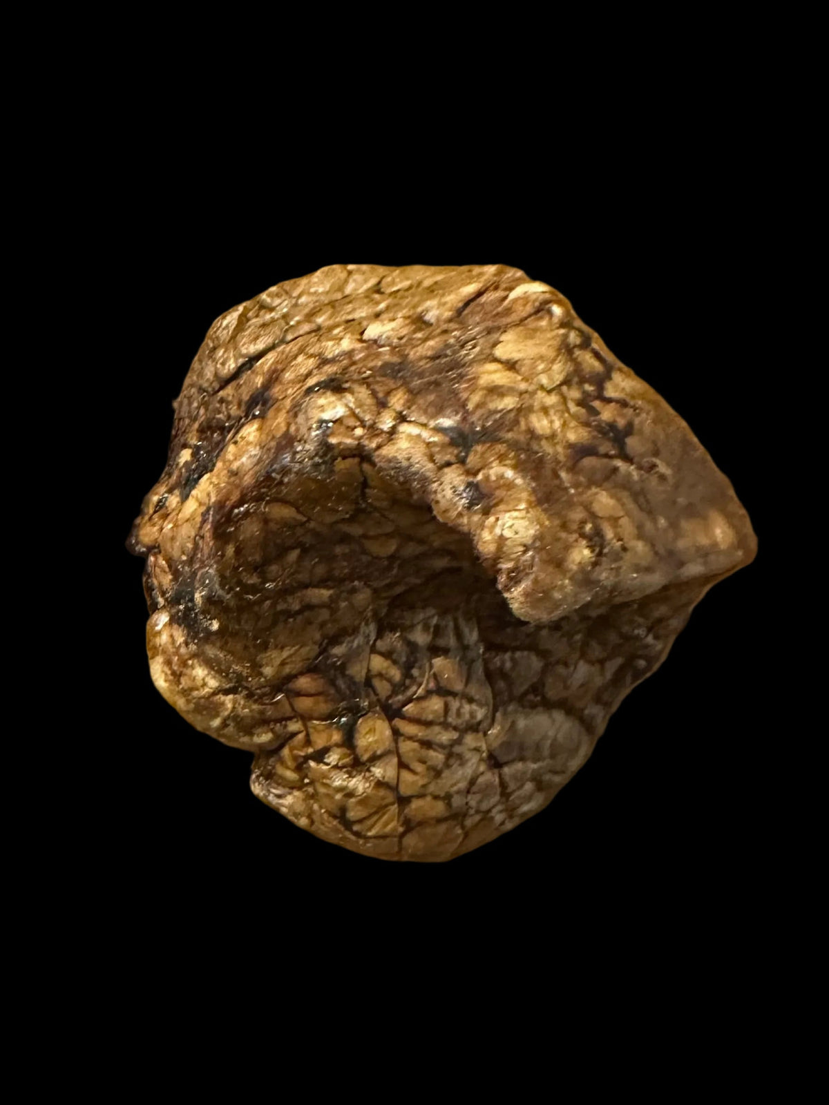 Rinderlunge luftgetrocknet